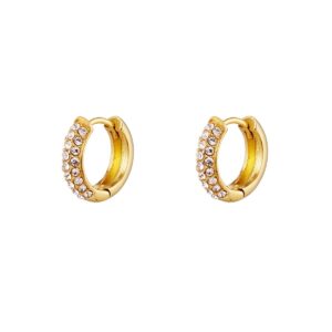 Stainless steel met zirkonia